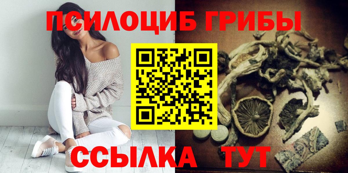 цена наркотик  Галлюциногенные грибы MAGIC MUSHROOMS  Вход с VPN  Елец 