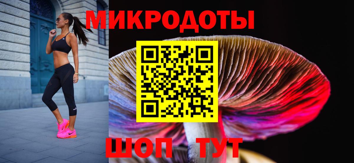 Псилоцибиновые грибы мухоморы Елец